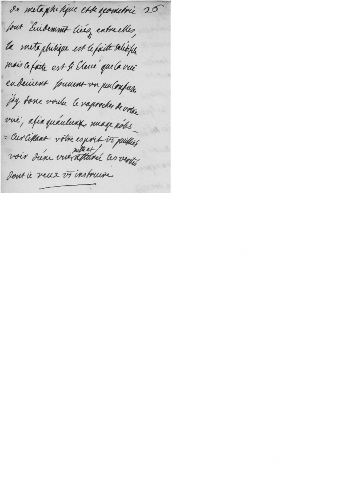 Émilie Du Châtelet’s Foundations of Physics The German Reception